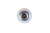 FPLT-01008PPS